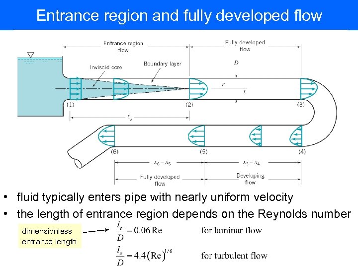 Entrance region and fully developed flow • fluid typically enters pipe with nearly uniform