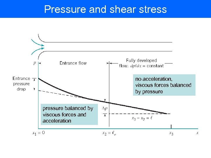 Pressure and shear stress no acceleration, viscous forces balanced by pressure balanced by viscous