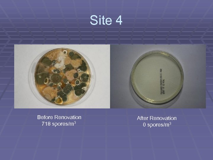 Site 4 Before Renovation 718 spores/m 3 After Renovation 0 spores/m 3 