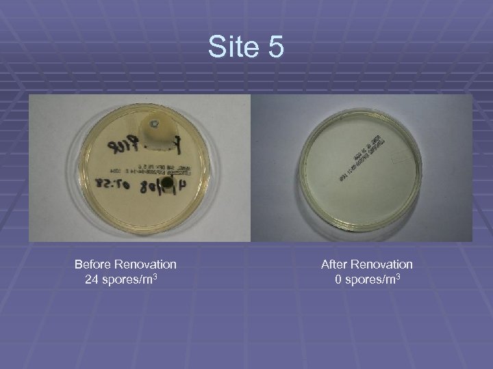 Site 5 Before Renovation 24 spores/m 3 After Renovation 0 spores/m 3 