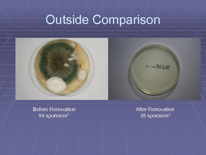 Outside Comparison Before Renovation 94 spores/m 3 After Renovation 35 spores/m 3 