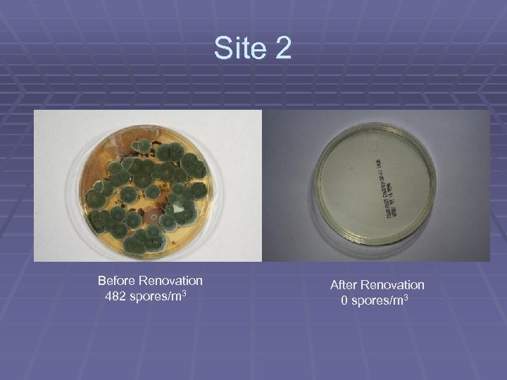 Site 2 Before Renovation 482 spores/m 3 After Renovation 0 spores/m 3 