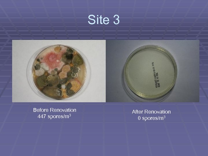 Site 3 Before Renovation 447 spores/m 3 After Renovation 0 spores/m 3 