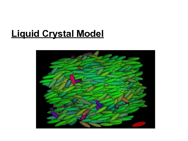 Liquid Crystal Model 
