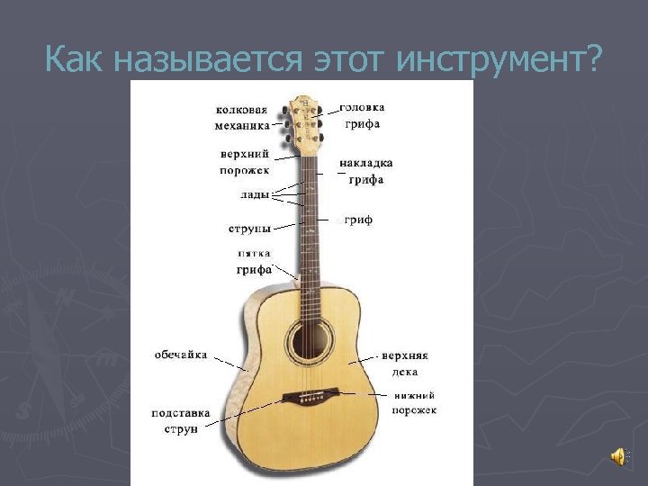 Как называется этот инструмент? 