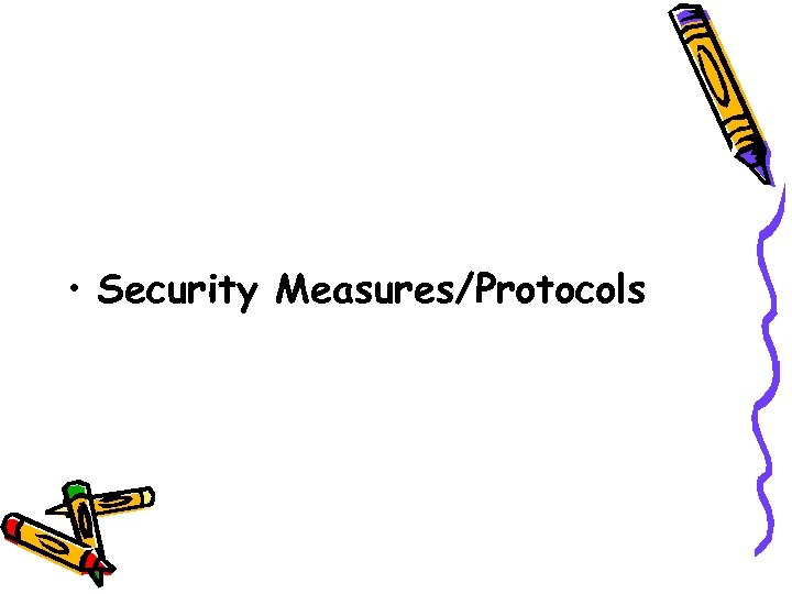  • Security Measures/Protocols 
