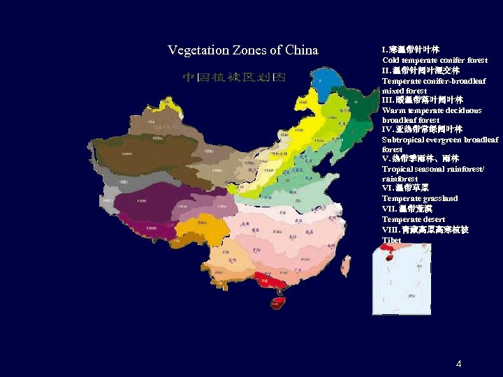 Vegetation Zones of China I. 寒温带针叶林 Cold temperate conifer forest II. 温带针阔叶混交林 Temperate conifer-broadleaf