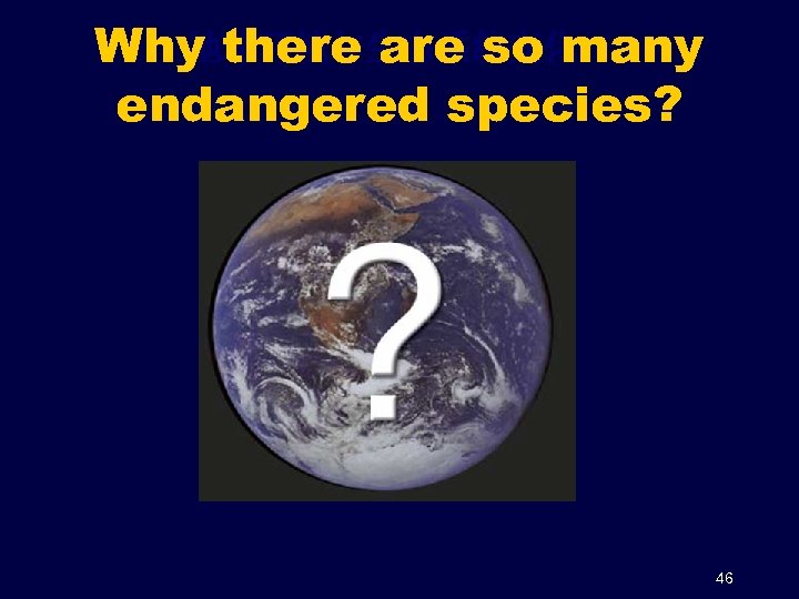 地球环境与生态系统变化 Why there are so many endangered species? 46 