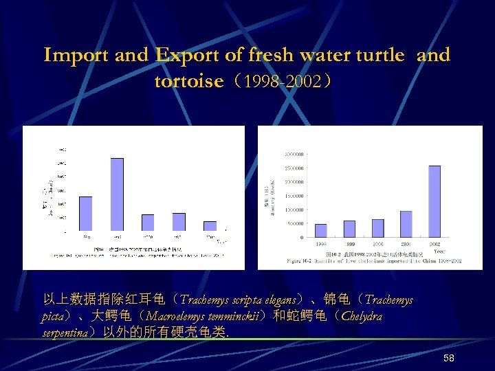 Import and Export of fresh water turtle and tortoise（1998 -2002） 以上数据指除红耳龟（Trachemys scripta elegans）、锦龟（Trachemys picta）、大鳄龟（Macroelemys