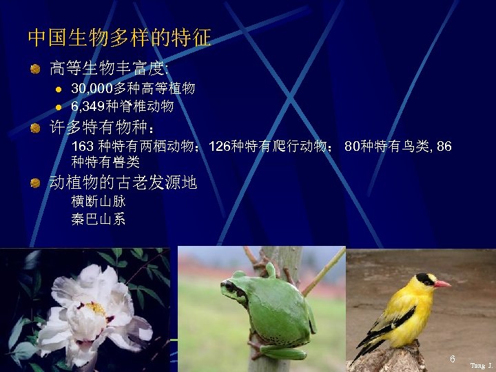 中国生物多样的特征 高等生物丰富度: l l 30, 000多种高等植物 6, 349种脊椎动物 许多特有物种： 163 种特有两栖动物； 126种特有爬行动物； 80种特有鸟类, 86