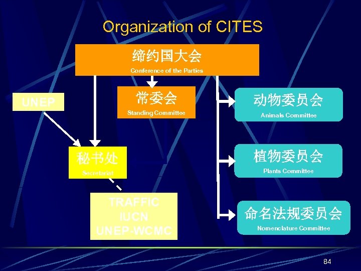 Organization of CITES 缔约国大会 Conference of the Parties 常委会 动物委员会 Standing Committee UNEP Animals