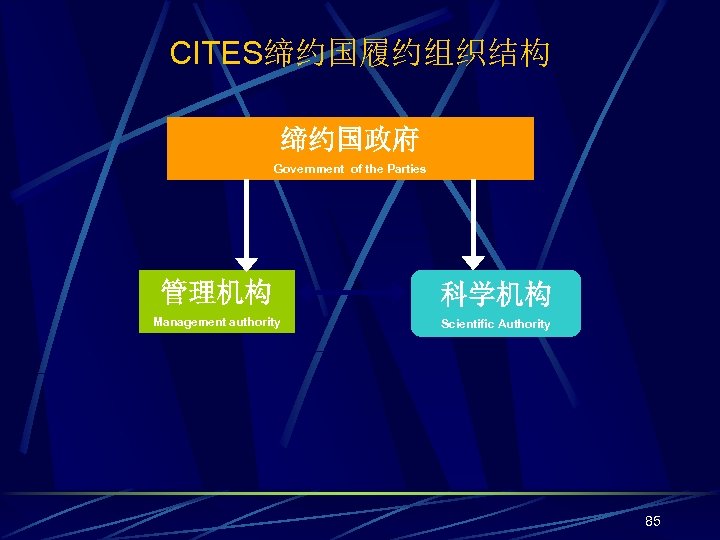 CITES缔约国履约组织结构 缔约国政府 Government of the Parties 管理机构 科学机构 Management authority Scientific Authority 85 