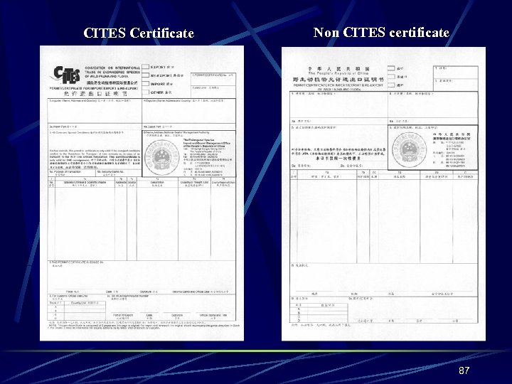 CITES Certificate Non CITES certificate 87 