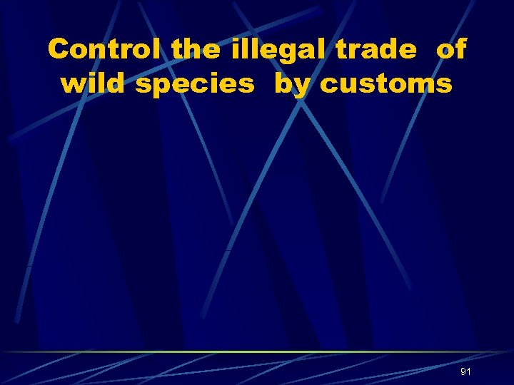 Control the illegal trade of wild species by customs 91 