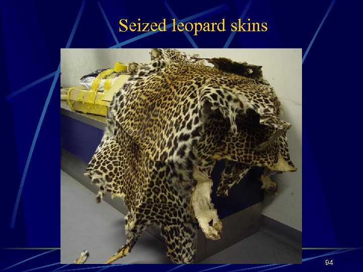 Seized leopard skins 94 