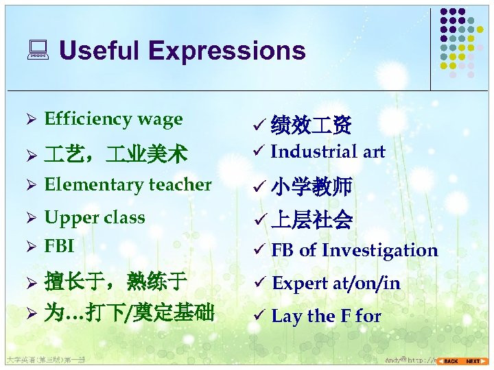 : Useful Expressions Ø Efficiency wage Ø 艺， 业美术 ü 绩效 资 ü Industrial