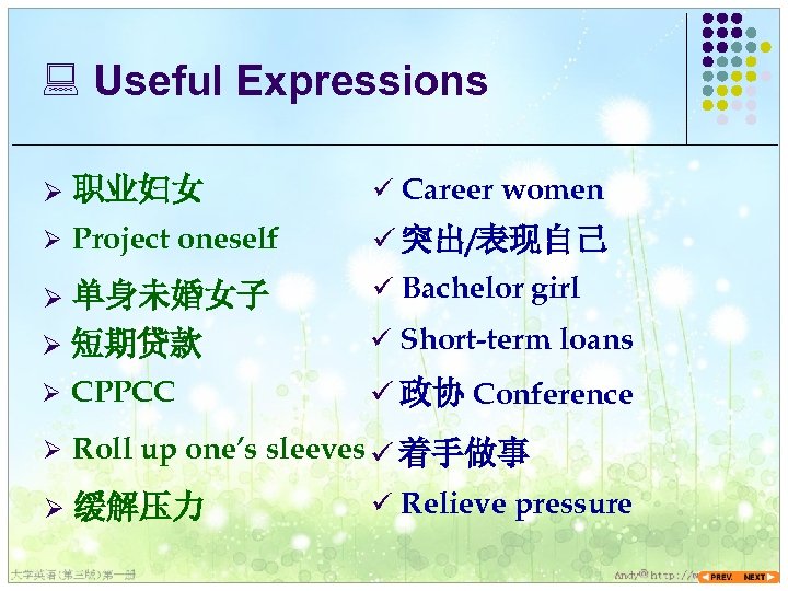 : Useful Expressions Ø 职业妇女 ü Career women Ø Project oneself ü 突出/表现自己 单身未婚女子