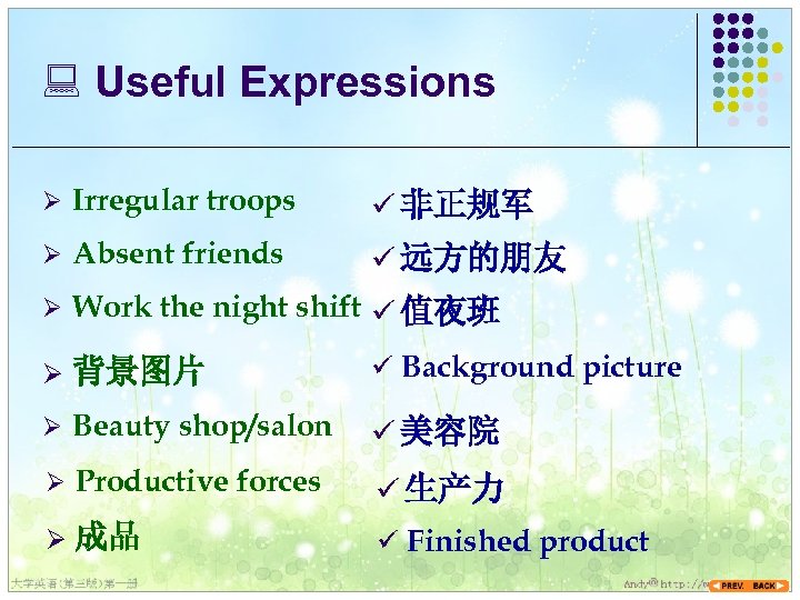 : Useful Expressions Ø Irregular troops ü 非正规军 Ø Absent friends ü 远方的朋友 Ø