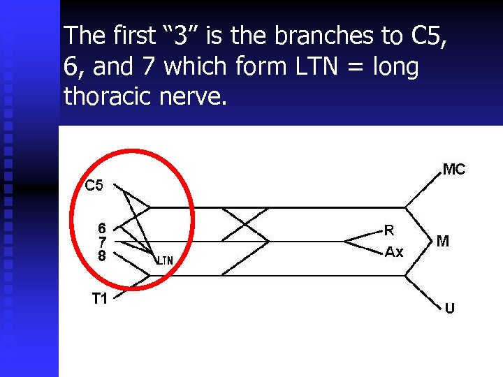 The first “ 3” is the branches to C 5, 6, and 7 which