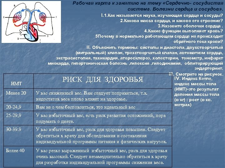 Рабочая карта к занятию на тему «Сердечно- сосудистая система. Болезни сердца и сосудов» .