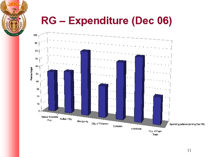 RG – Expenditure (Dec 06) 11 
