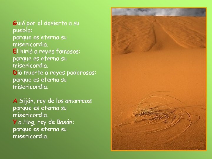 Guió por el desierto a su pueblo: porque es eterna su misericordia. El hirió
