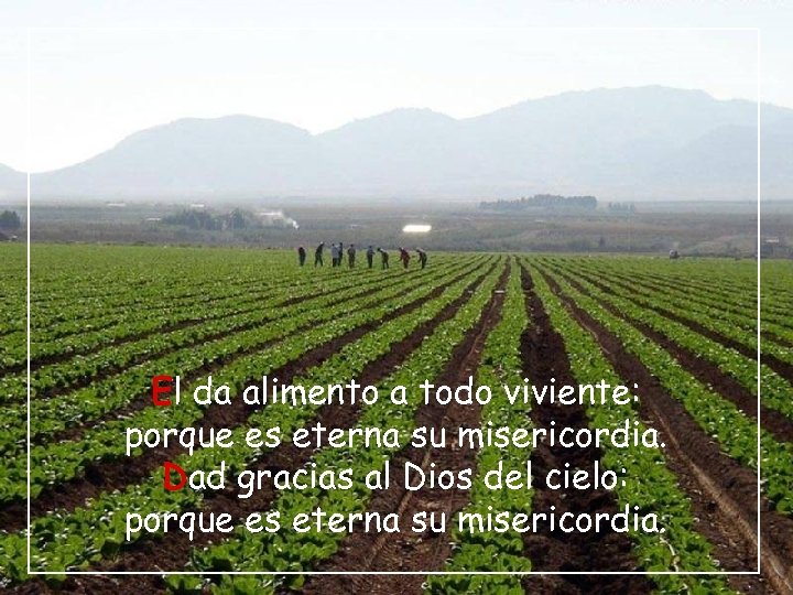 El da alimento a todo viviente: porque es eterna su misericordia. Dad gracias al