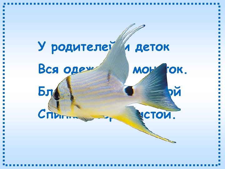 У родителей и деток Вся одежда из монеток. Блещут в речке чистой Спинкой серебристой.