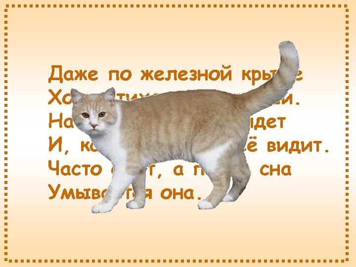 Даже по железной крыше Ходит тихо, тише мыши. На охоту ночью выйдет И, как
