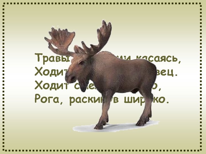 Травы копытами касаясь, Ходит по лесу красавец. Ходит смело и легко, Рога, раскинув широко.