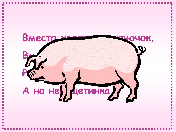 Вместо хвостика – крючок. Вместо носа – пятачок. Розовая спинка, А на ней щетинка.