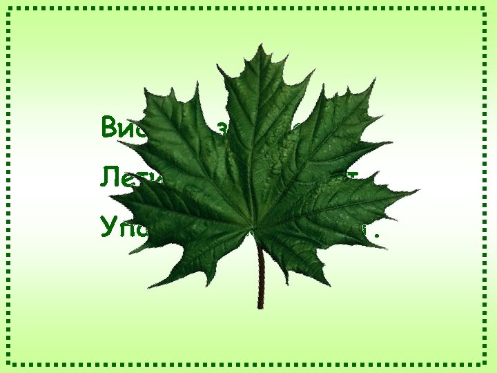 Висит – зеленеет, Летит – пожелтеет, Упадёт – почернеет. 