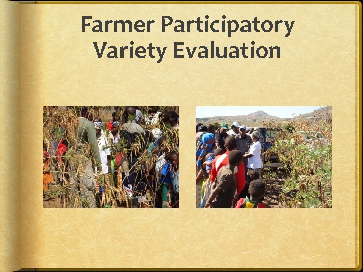 Farmer Participatory Variety Evaluation 