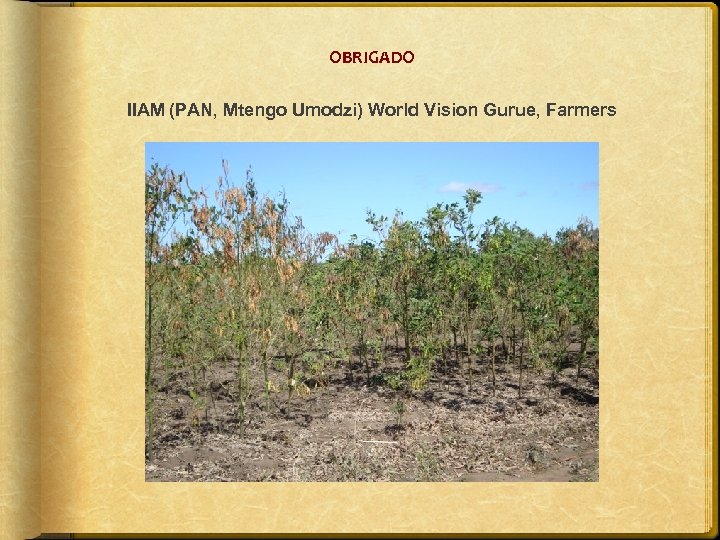 OBRIGADO IIAM (PAN, Mtengo Umodzi) World Vision Gurue, Farmers 