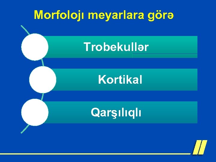 Morfolojı meyarlara görə Trobekullər Kortikal Qarşılıqlı 