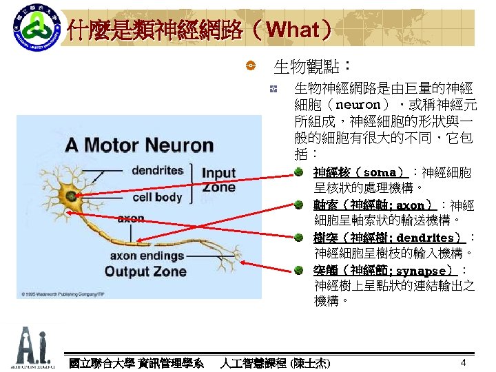 什麼是類神經網路（What） 生物觀點： 生物神經網路是由巨量的神經 細胞（neuron），或稱神經元 所組成，神經細胞的形狀與一 般的細胞有很大的不同，它包 括： 神經核（soma）：神經細胞 呈核狀的處理機構。 軸索（神經軸; axon）：神經 細胞呈軸索狀的輸送機構。 樹突（神經樹; dendrites）：