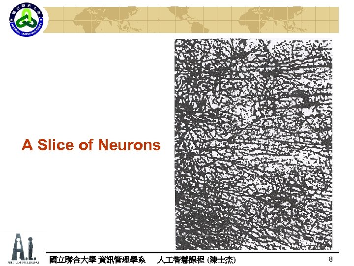 A Slice of Neurons 國立聯合大學 資訊管理學系 人 智慧課程 (陳士杰) 8 