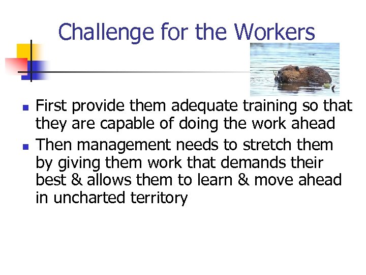 Challenge for the Workers n n First provide them adequate training so that they