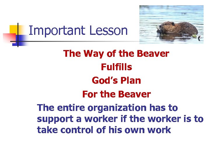 Important Lesson The Way of the Beaver Fulfills God’s Plan For the Beaver The