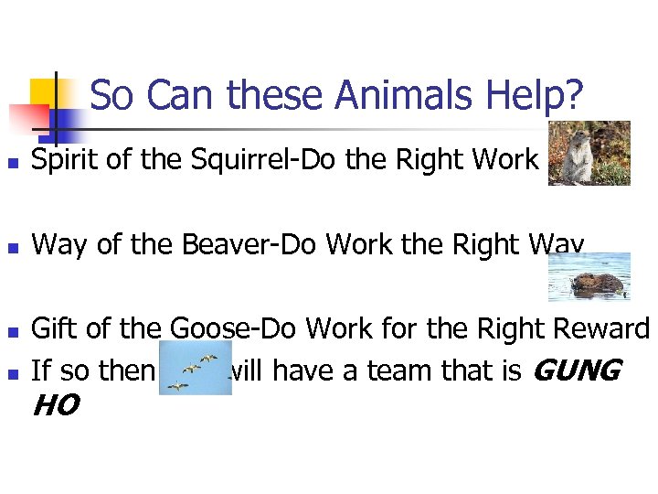 So Can these Animals Help? n Spirit of the Squirrel-Do the Right Work n