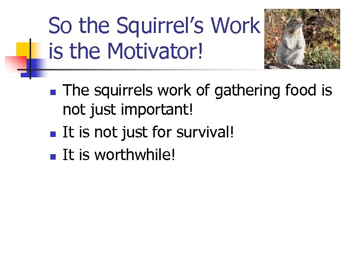 So the Squirrel’s Work is the Motivator! n n n The squirrels work of