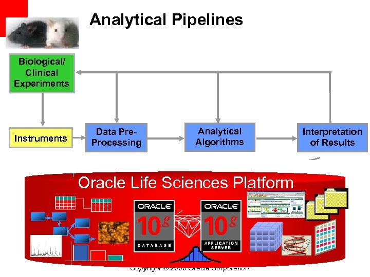 Analytical Pipelines Biological/ Clinical Experiments Instruments Data Pre. Processing Analytical Algorithms Interpretation of Results