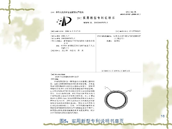 16 图 5：实用新型专利说明书扉页 