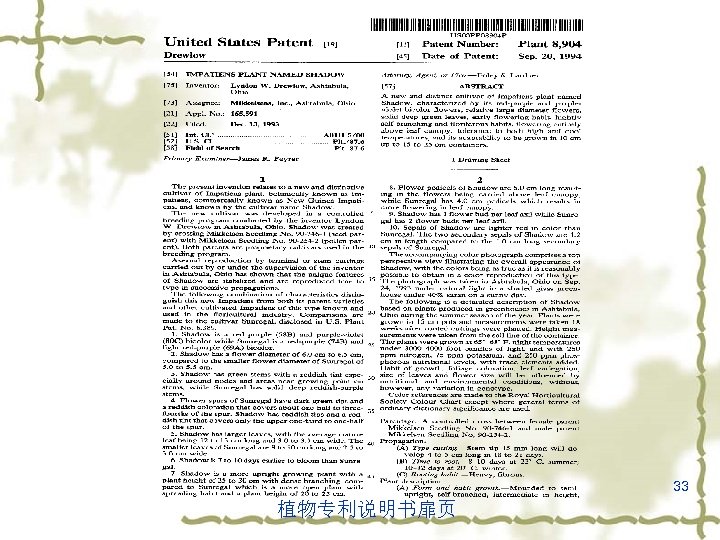 33 植物专利说明书扉页 