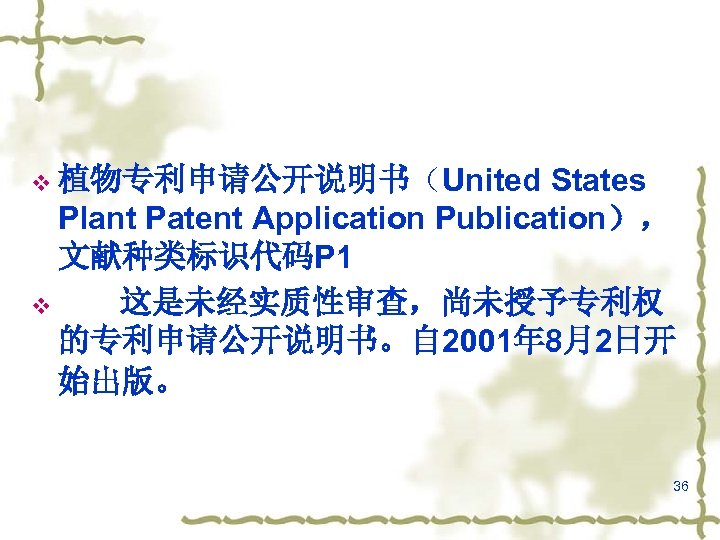 States Plant Patent Application Publication）， 文献种类标识代码P 1 v 这是未经实质性审查，尚未授予专利权 的专利申请公开说明书。自 2001年 8月2日开 始出版。 v