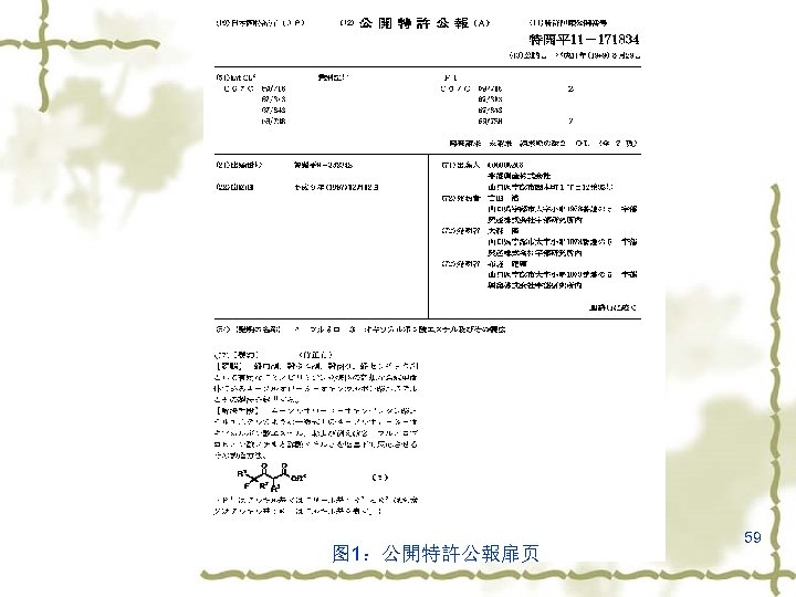 图 1：公開特許公報扉页 59 