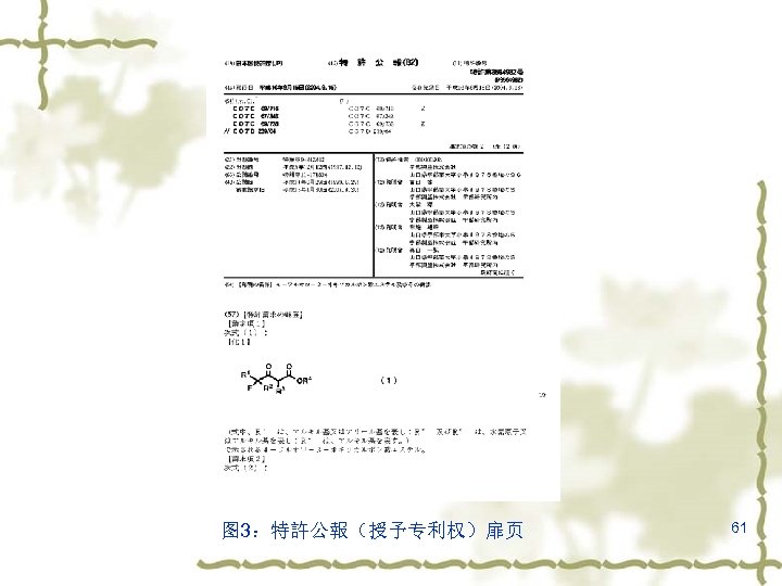 图 3：特許公報（授予专利权）扉页 61 
