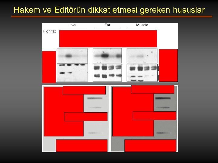 Hakem ve Editörün dikkat etmesi gereken hususlar 