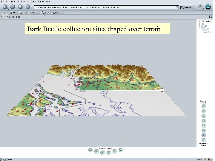 Bark Beetle collection sites draped over terrain 