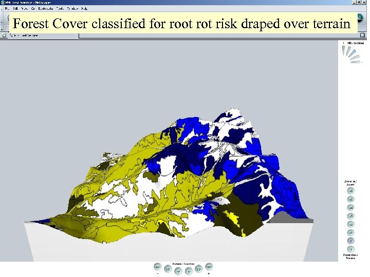 Forest Cover classified for root risk draped over terrain 